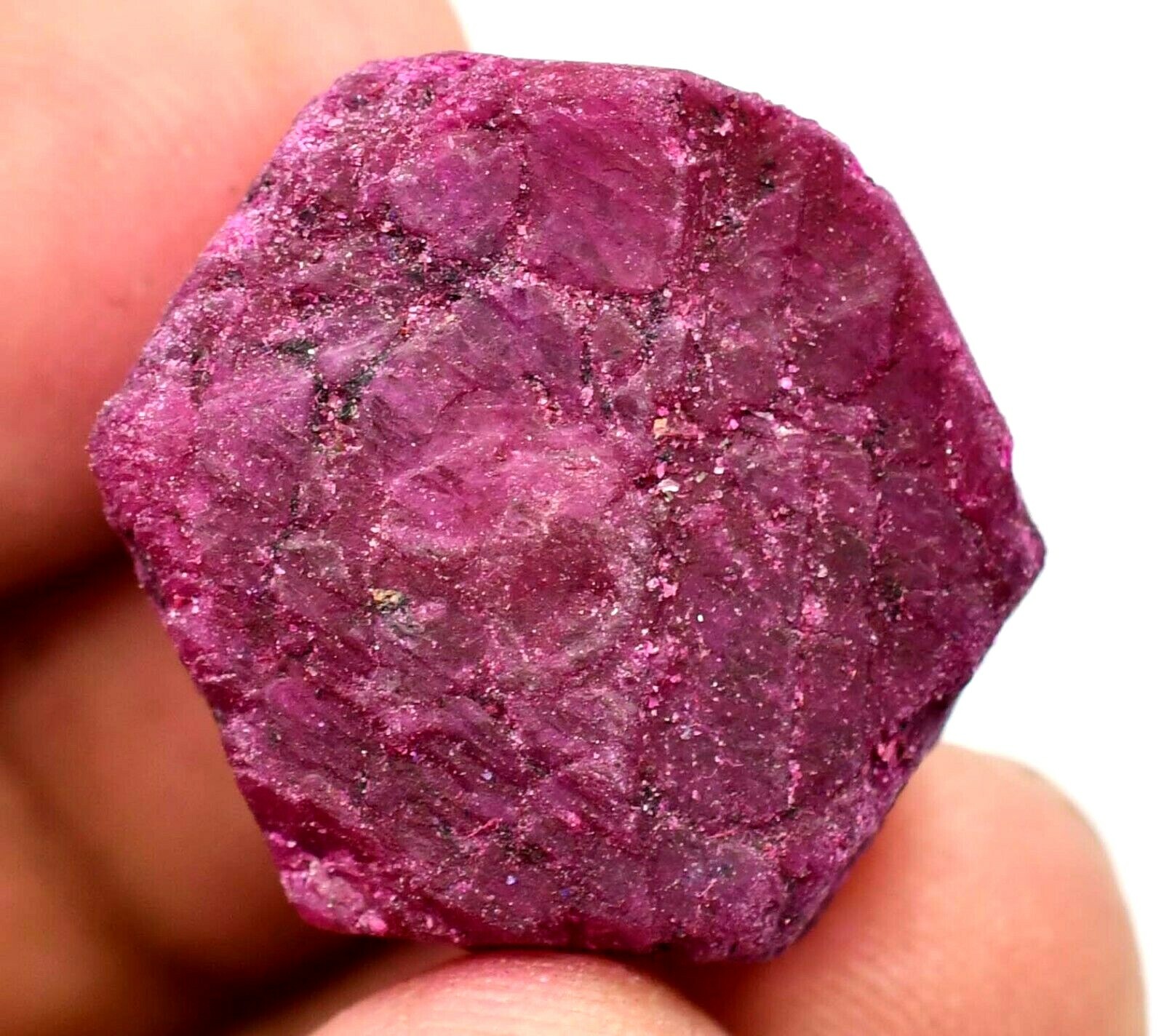 53.15 CT Natural Huge Mozambique Red Ruby 23 mm Certified Loose Treated Gemstone