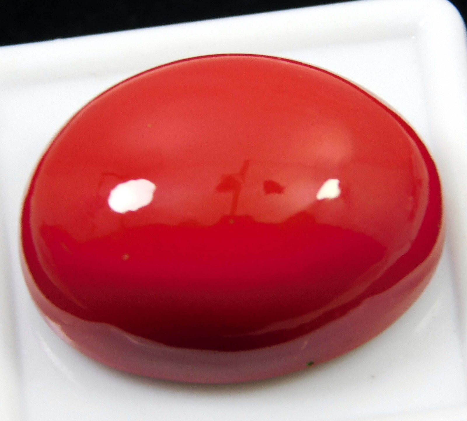 34.45 Ct Natural Italian Red Coral Oval Cabochon Cut Loose Gemstone