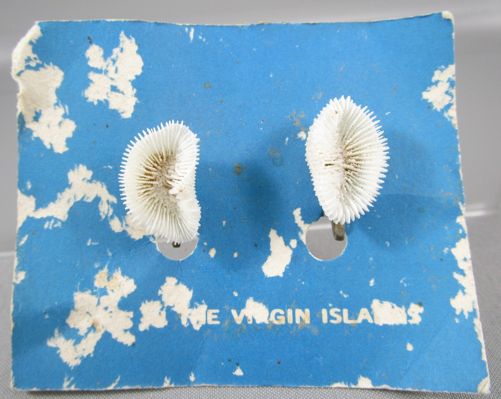 NOS Vintage Tourist Virgin Island Shell Screw back Earrings 164B