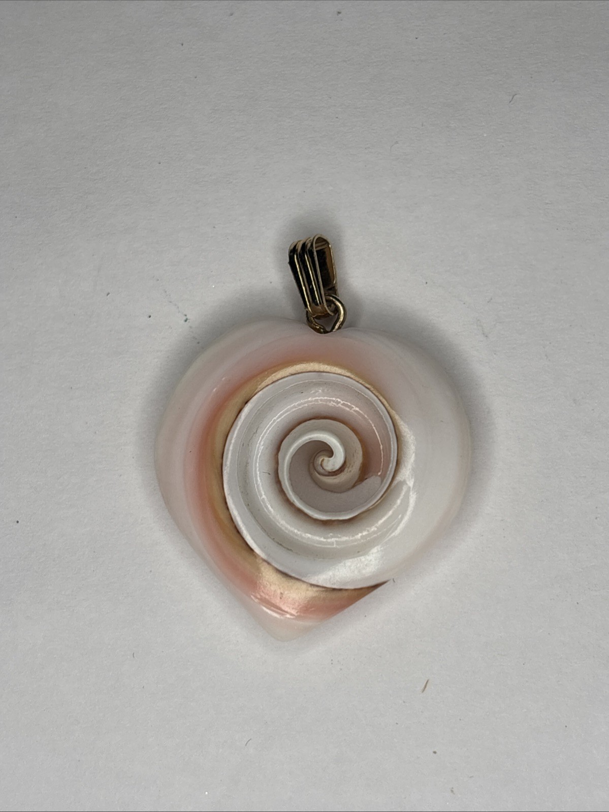Natural Seashell Heart Shaped Nautilus Style Spiral Pendant Gold Tone Clasp