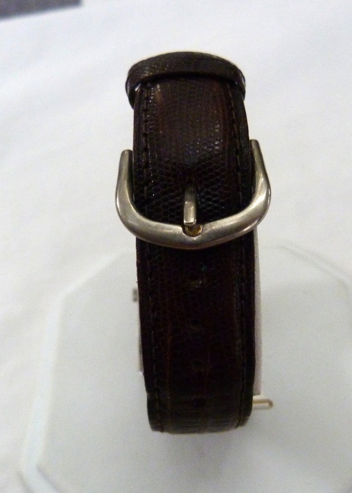 VINTAGE CALVIN KLEIN TANK WATCH STYLE TEJU LIZARD BROWN BAND 16R USA WATCH