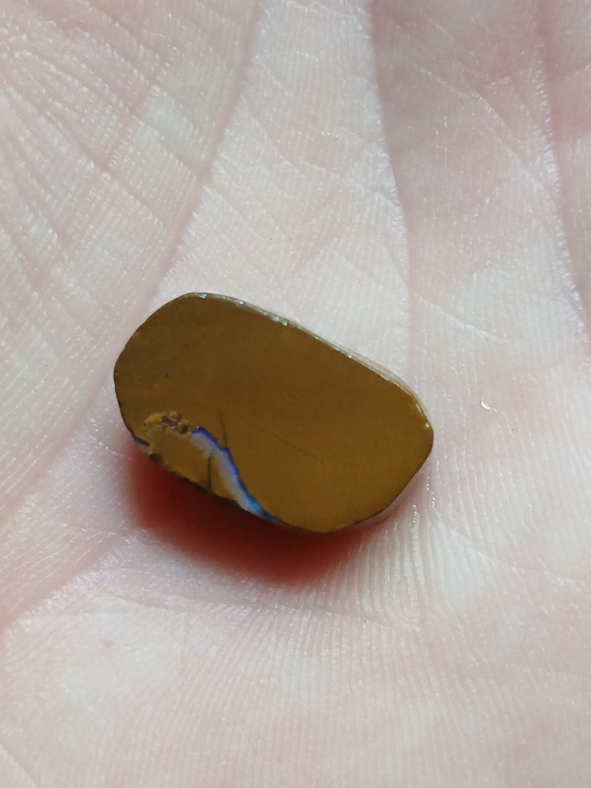 Australia Boulder Opal Unknown Field R2093 Specimen 10 Carat Blue Multi Sided