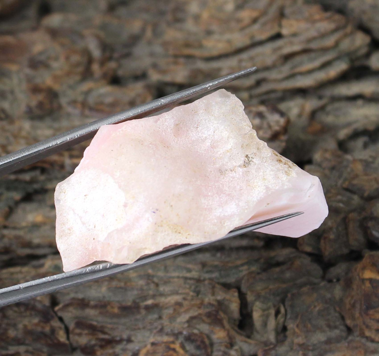 41.25 Carat Certified Natural Peru Pink Opal Thanksgiving Gemstone Rough T33066