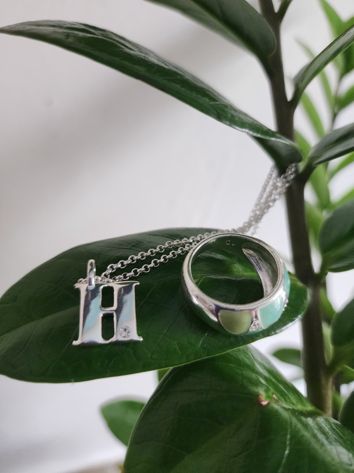 Silver Tone Necklace and Ring Set