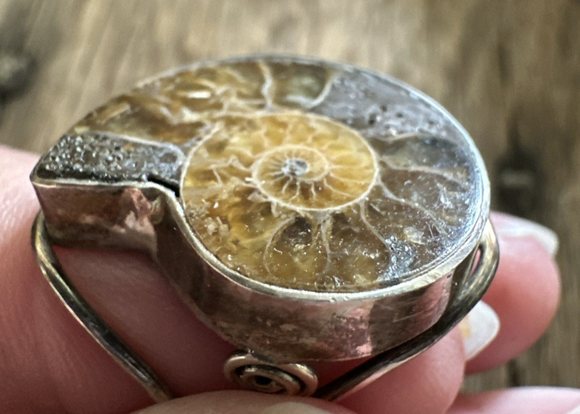 Sterling Silver Ammonite Natural Fossil Ring Size 6