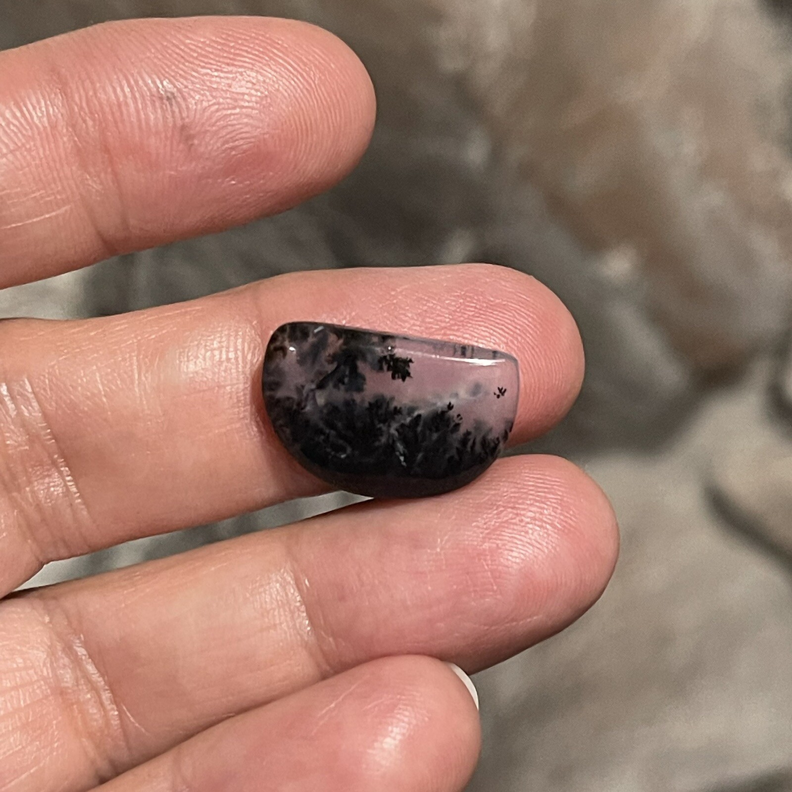 7ct 19.3x13x4mm Fine Dendritic Agate Smooth Cabochon Loose Picture Stone