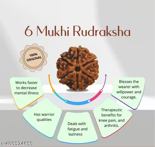 RUDRAKSHA PENDANT NECKLACE 6 Mukhi Nepali Rudraksha Six Face Rudraksh Pendant