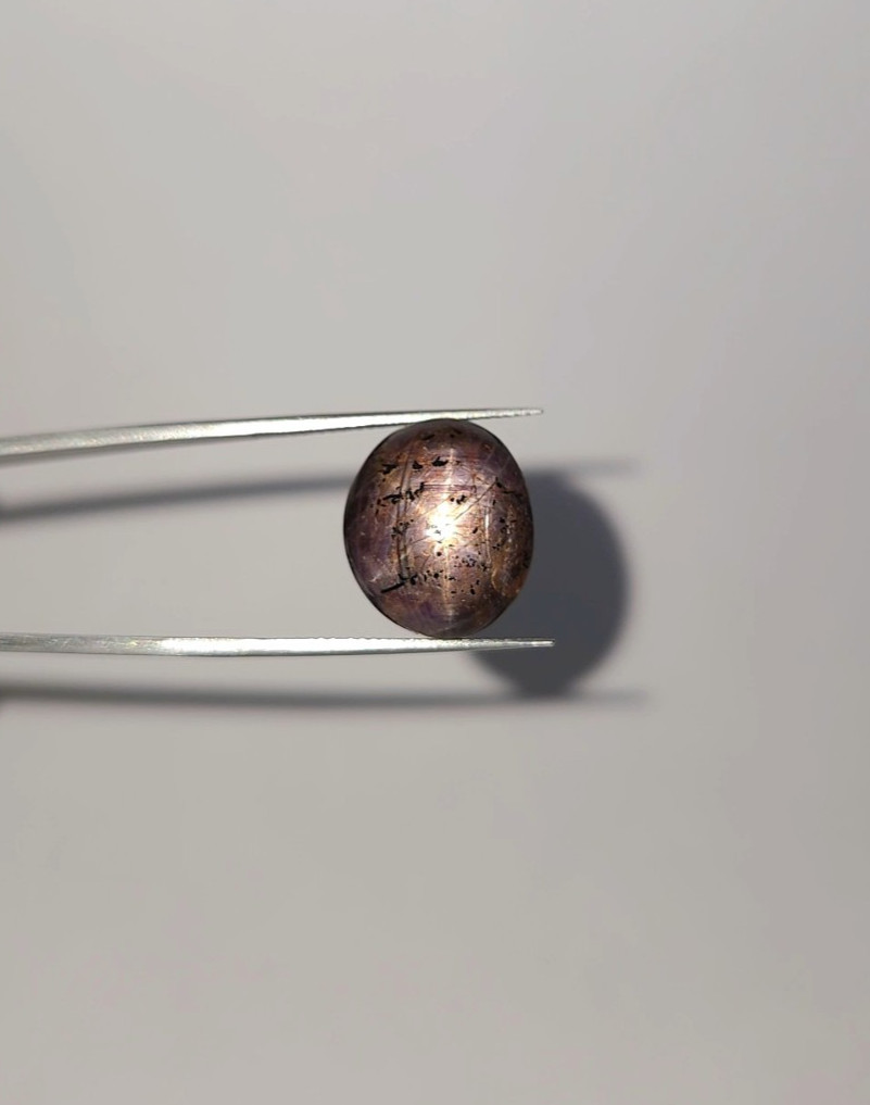 Natural 24.90 ct Star Sapphire Purple Oval Cabochon untreated loose gemstone
