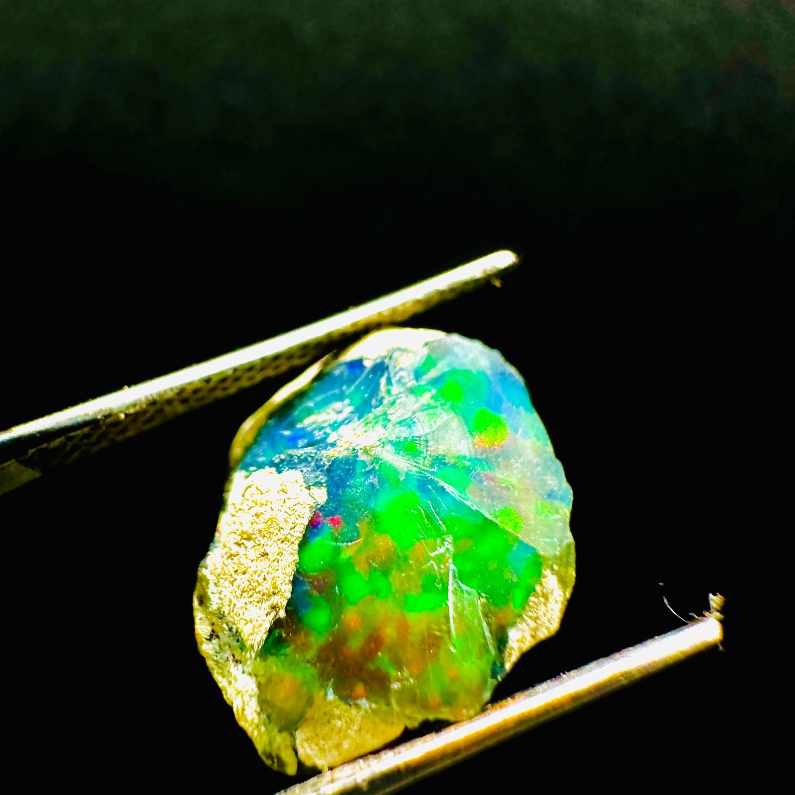 Natural Ethiopian Welo Black Opal Rough, Vibrant Rainbow Opal Fire 4ct 15x12MM
