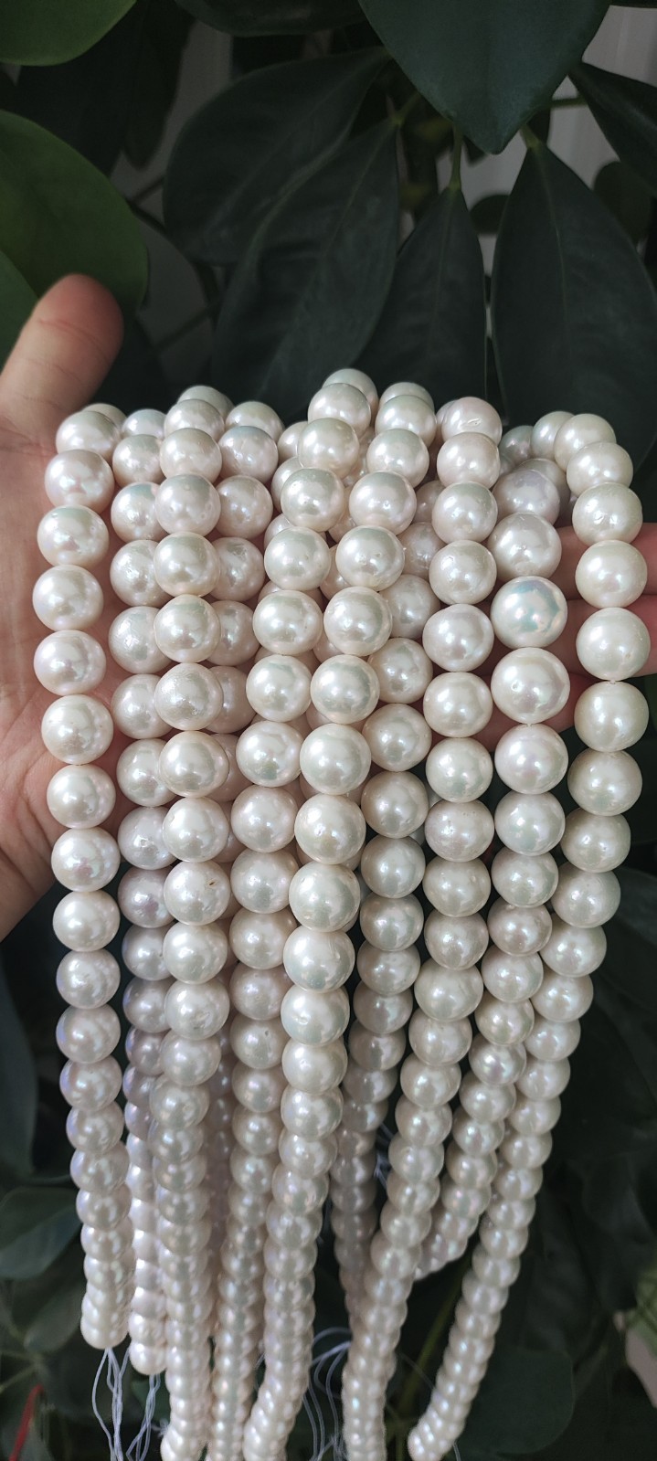 AAAAA 12-13 MM GENUINE NATURAL Australian south sea white pearl necklace 18″