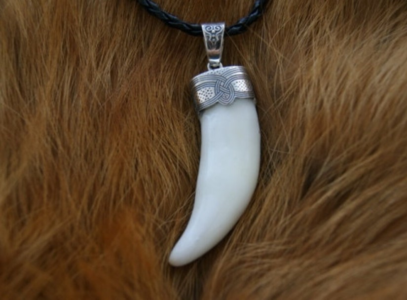 Silver Wolf teeth jewelry Animal Teeth Wolf necklace Wolf head Tooth necklace