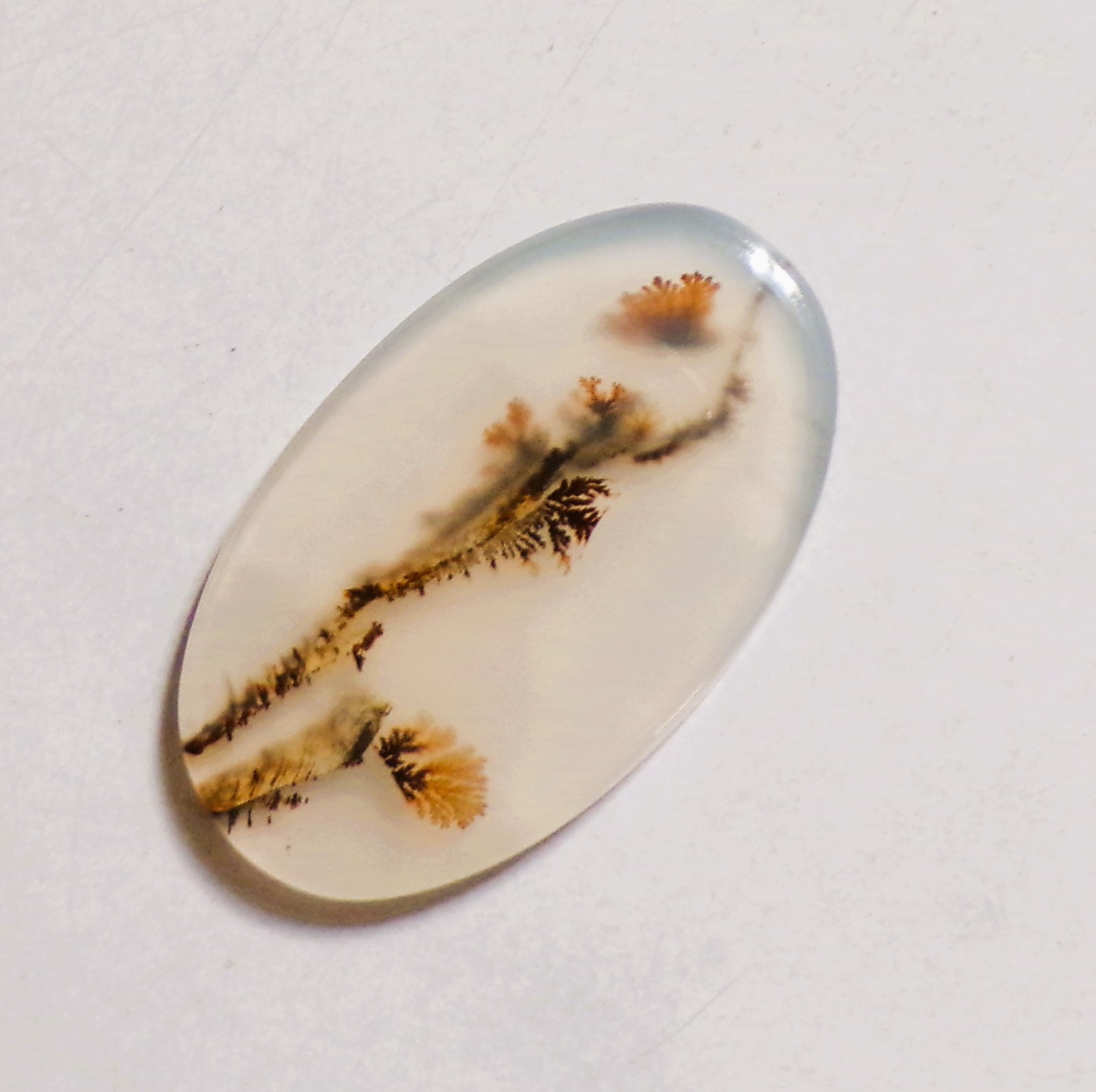 20.50 Cts Natural Shazar Dendritic Agate Cabochon Loose Gemstone 35X21X3.1MM 124