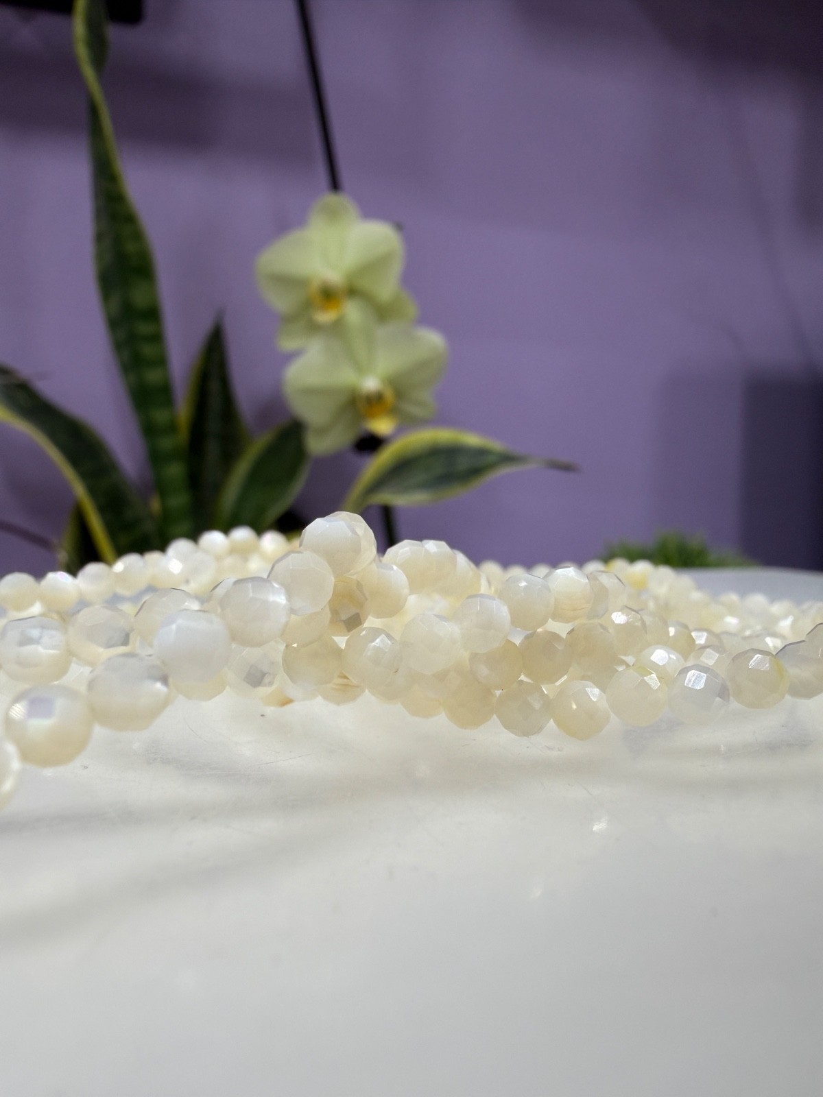 Wholesale 6 Pcs 4mm Faceted Mother of Pearl Stretch Bracelet 7.5″