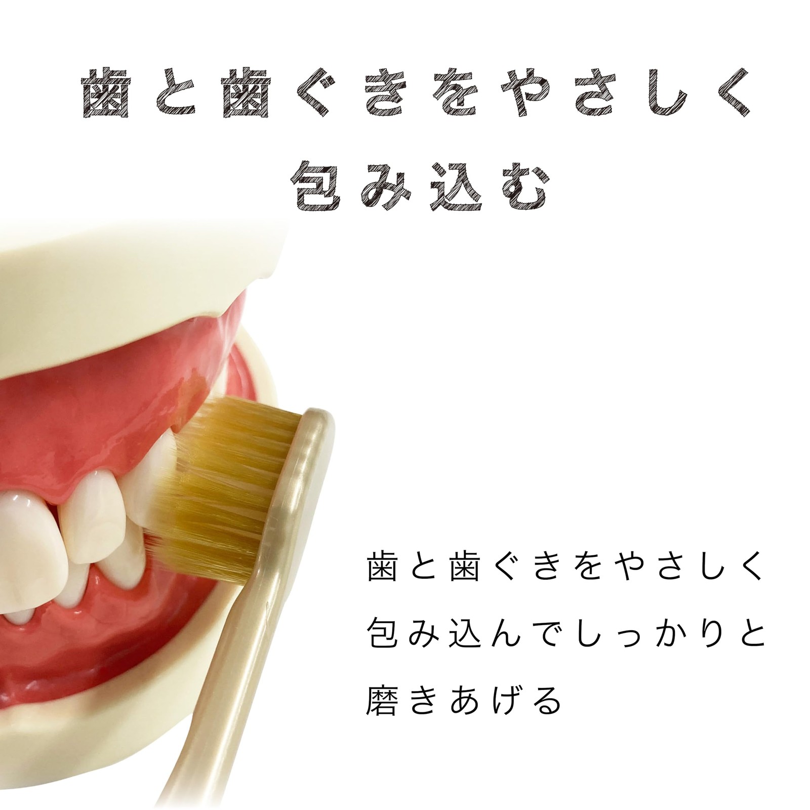 Ebisu The Premium Care Gap Plus (Regular) 2 Pieces Set