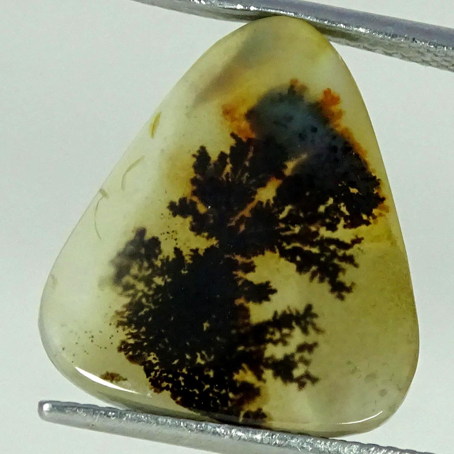 6.30Cts. Natural Shazar Dendrite Agate Pear Cabochon Gemstone 16X18X3MM
