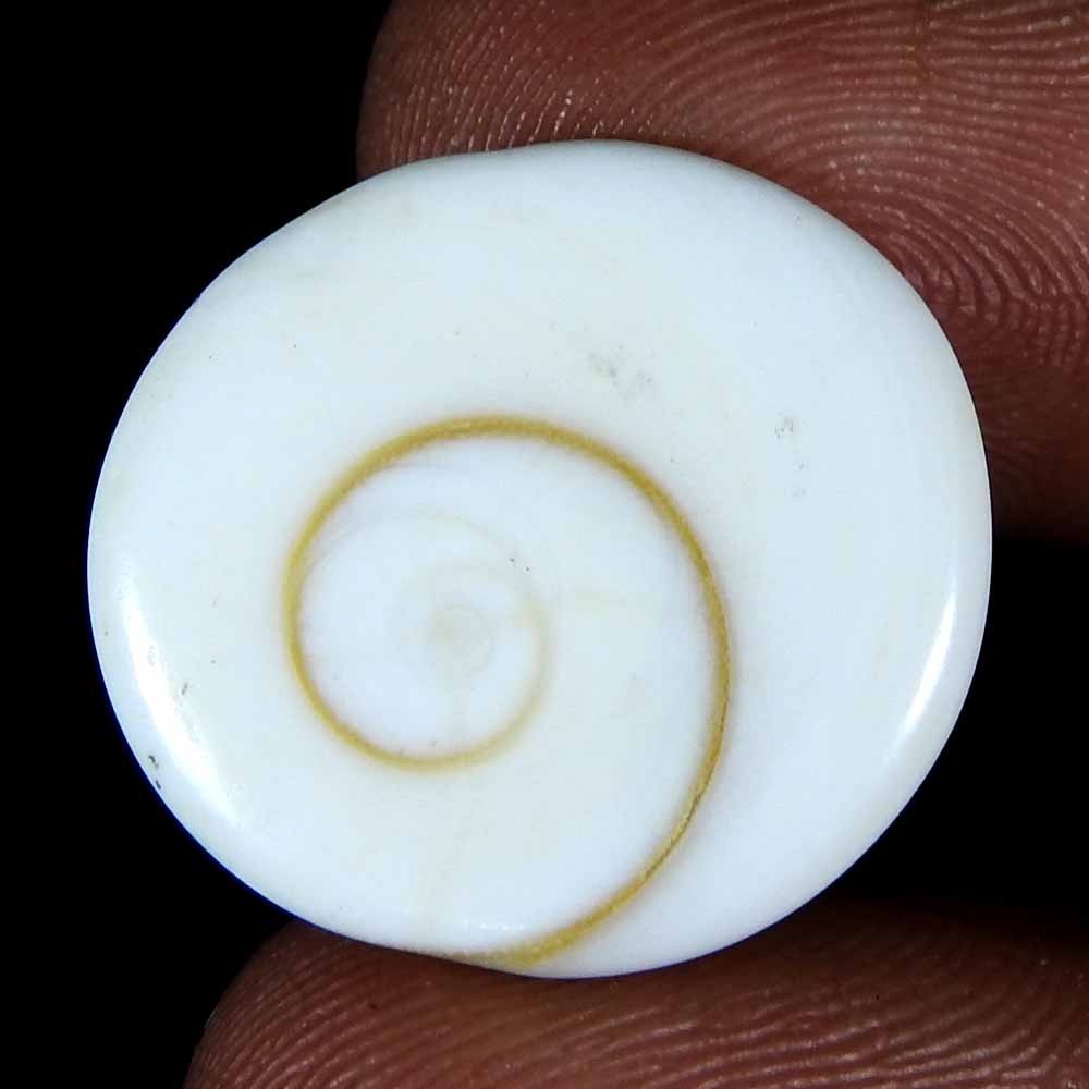 19.70 Ct Natural Shiva Eye Oval Cabochon Loose Gemstone