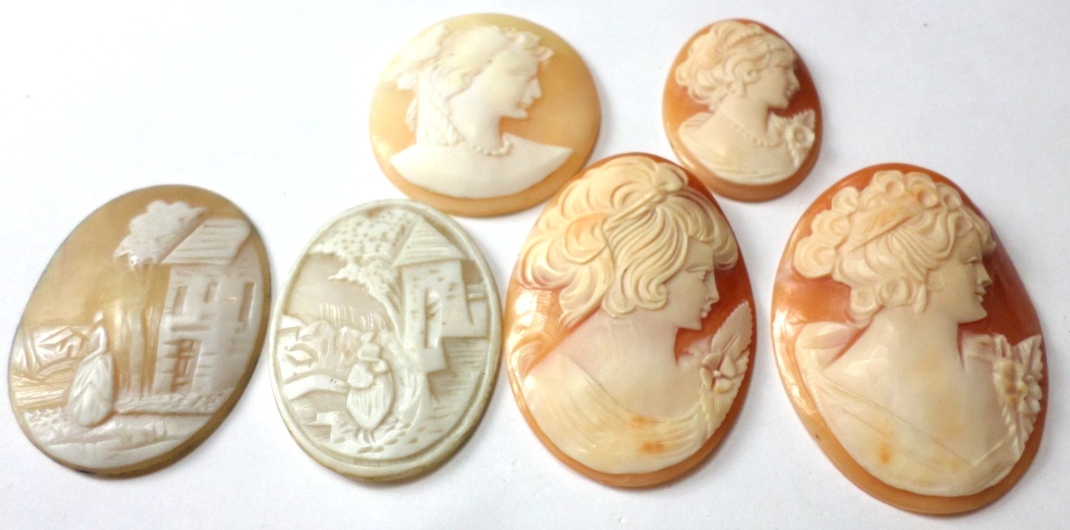 6 Vintage Loose Hand Carved Shell Women L-XL Classic Cameos 45×33 to 30x23mm