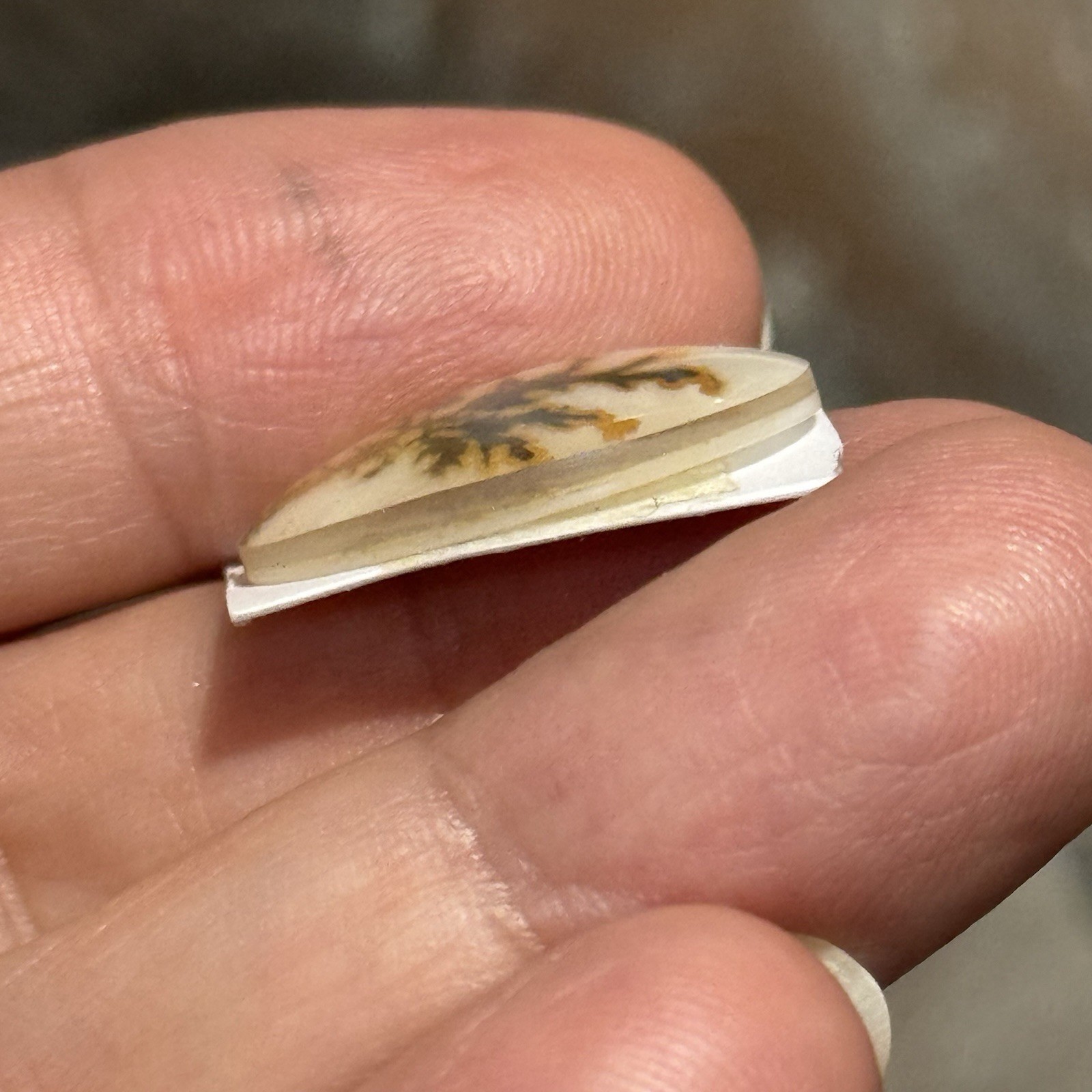 10.7ct 21×15.7×4.2mm Dendritic Agate Crystal Doublet Oval Cabochon Picture Stone