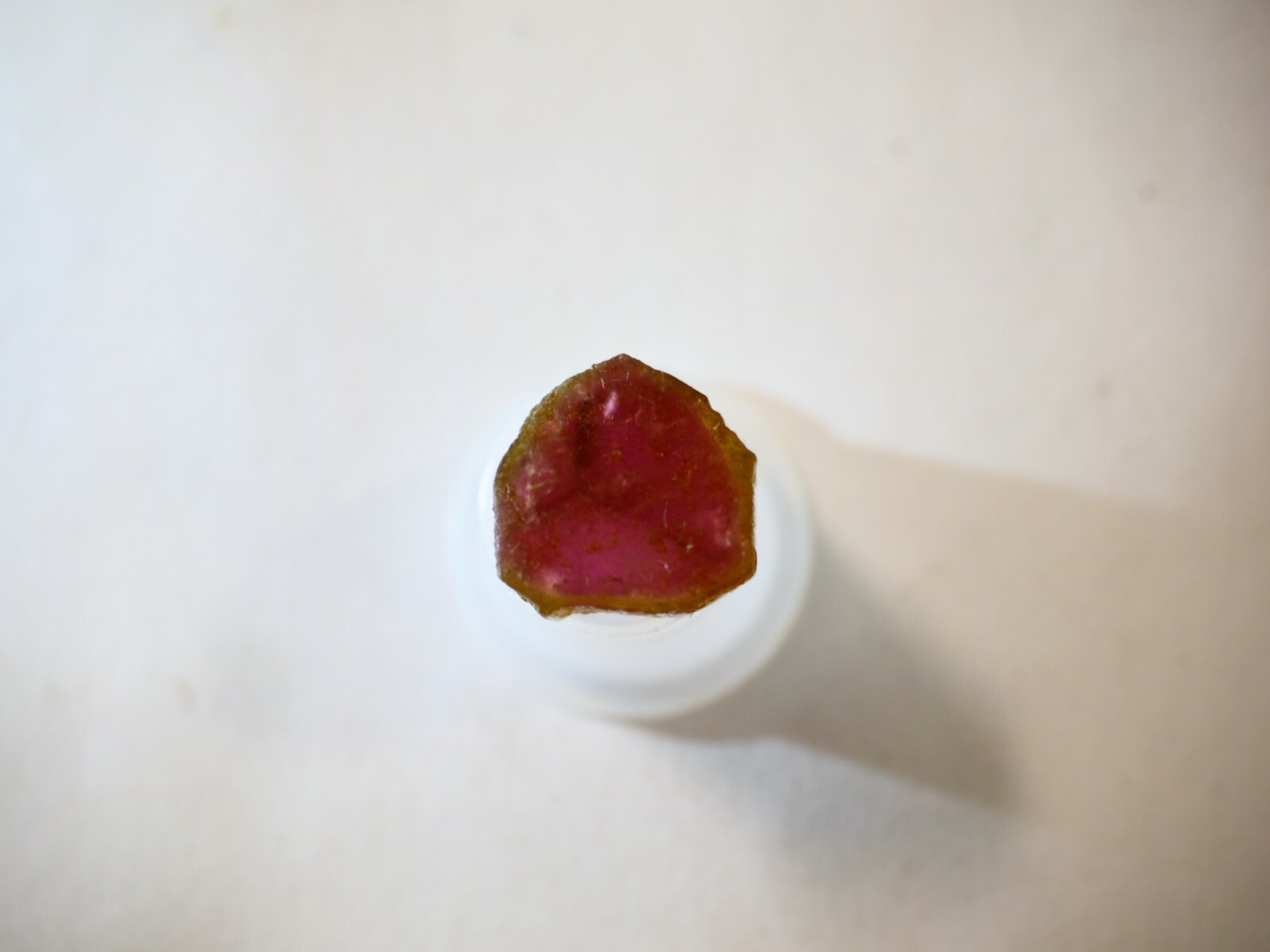 Real Nice 11.52 carat Tourmaline Watermelon slice 13.7 mm Green to Pink