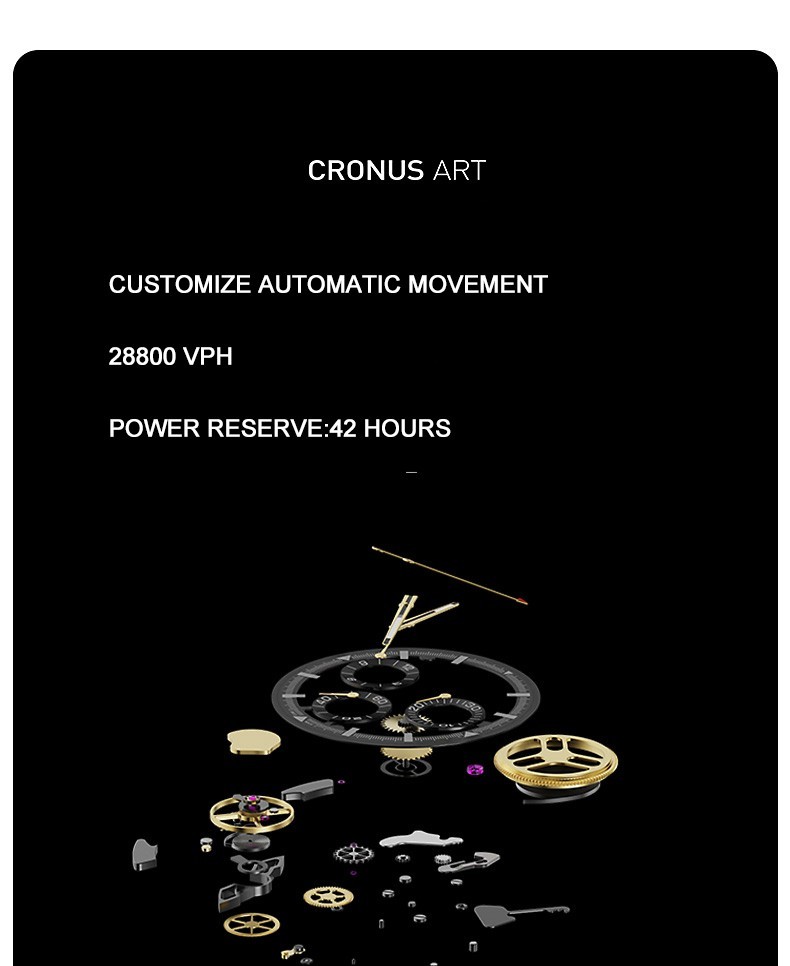 CRONUSART Men Chronograph Watch 42mm Automatic Mechanical Wristwatch Skeleton