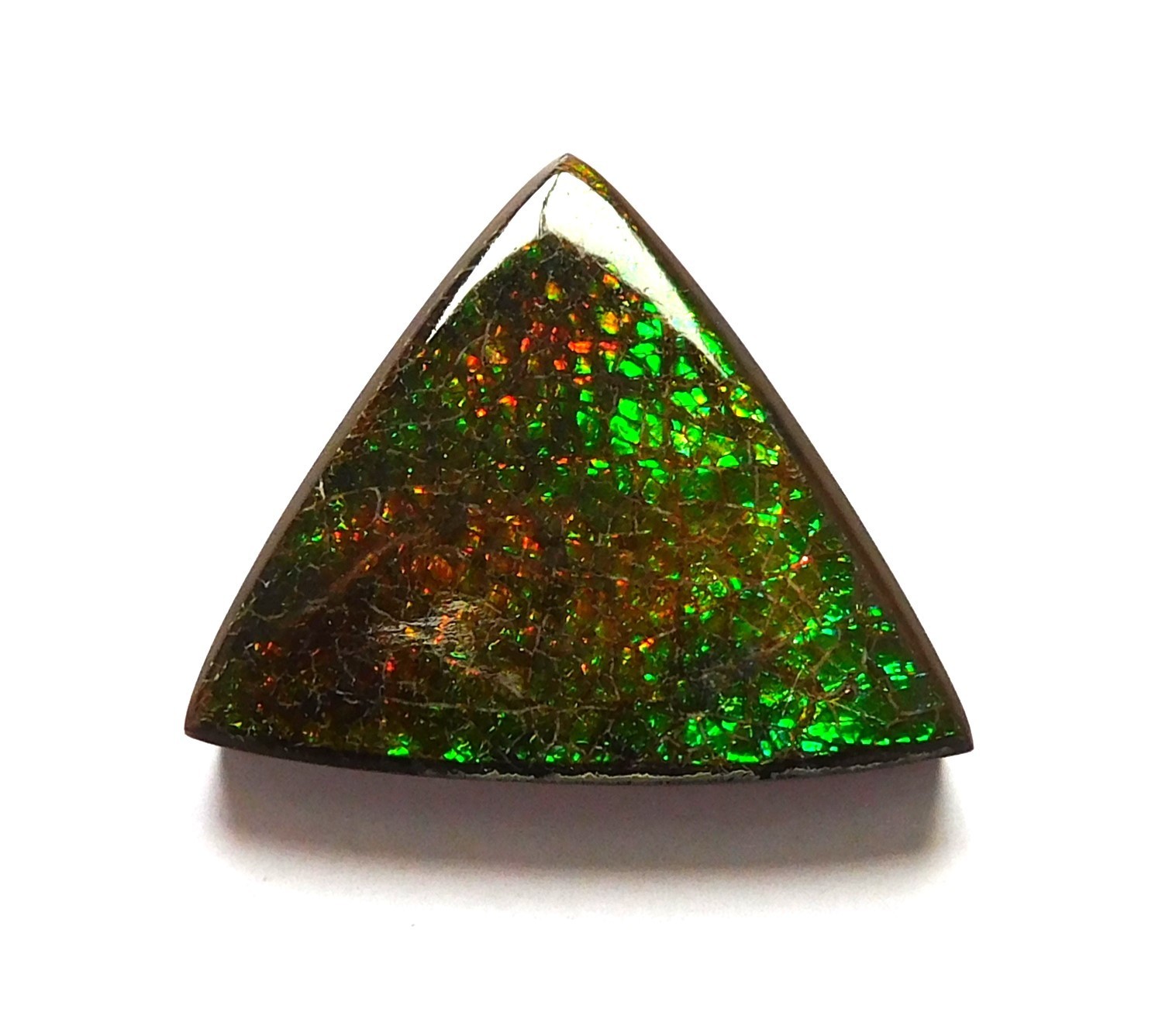 19.10 Ct Natural Canadian Ammolite Cabochon Loose Gemstone 22.6X22.4X4.2MM KJ120