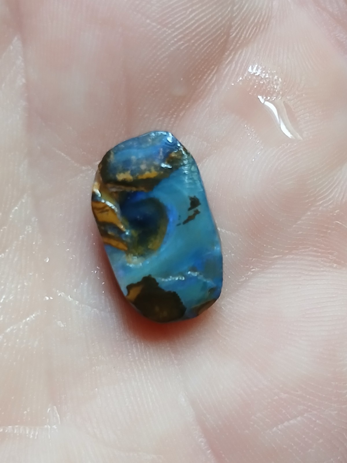 Australia Boulder Opal Unknown Field R2093 Specimen 10 Carat Blue Multi Sided