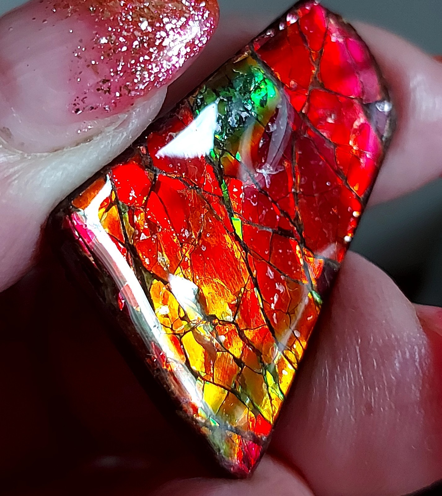 Ammolite Ammonite Coated Stone BRIGHT C Changer 28.7×21.8×4.7mm 5647