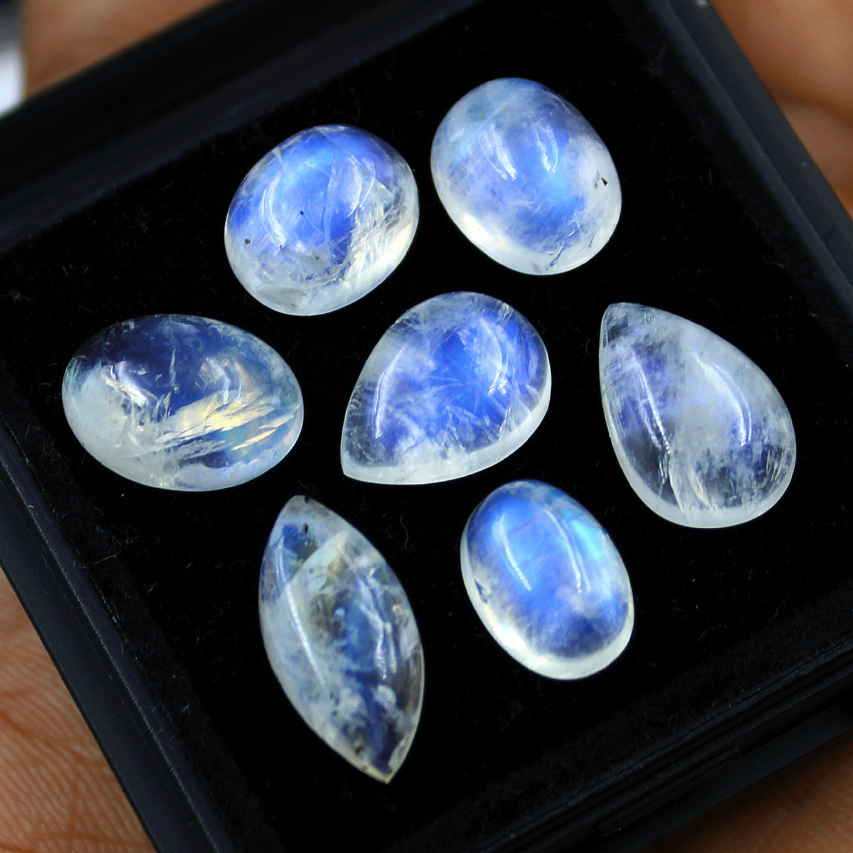7 Pcs Natural White Labradorite AAA Quality 11.8mm-17.4mm Cabochon Gemstones Lot
