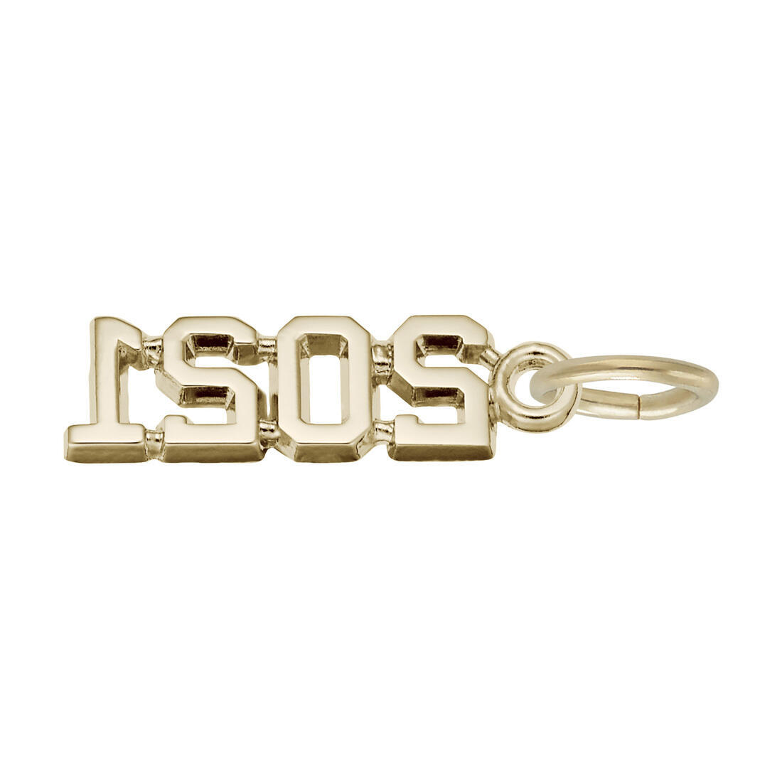 2021 Charm by Rembrandt 10K or 14K Gold or Sterling Silver