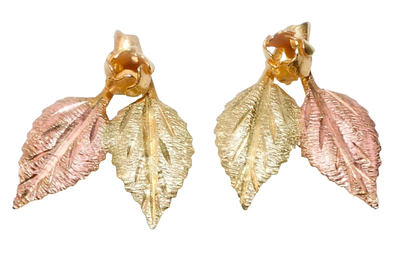 Black Hills Gold 10k Landstrom’s Yellow Rose Earrings