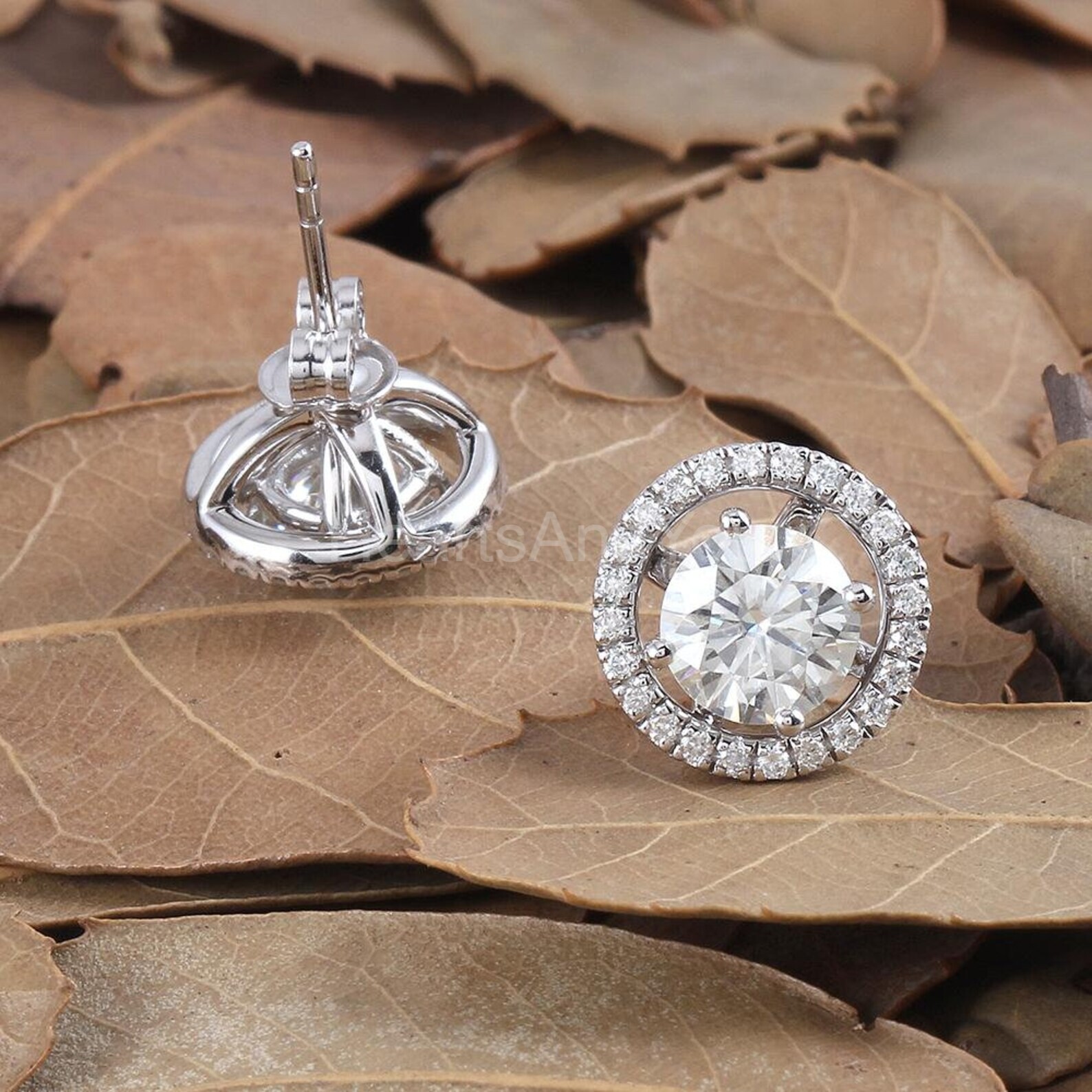 2ct Round Cut Moissanite Open Halo Stud Earrings For Women 14k White Gold Plated