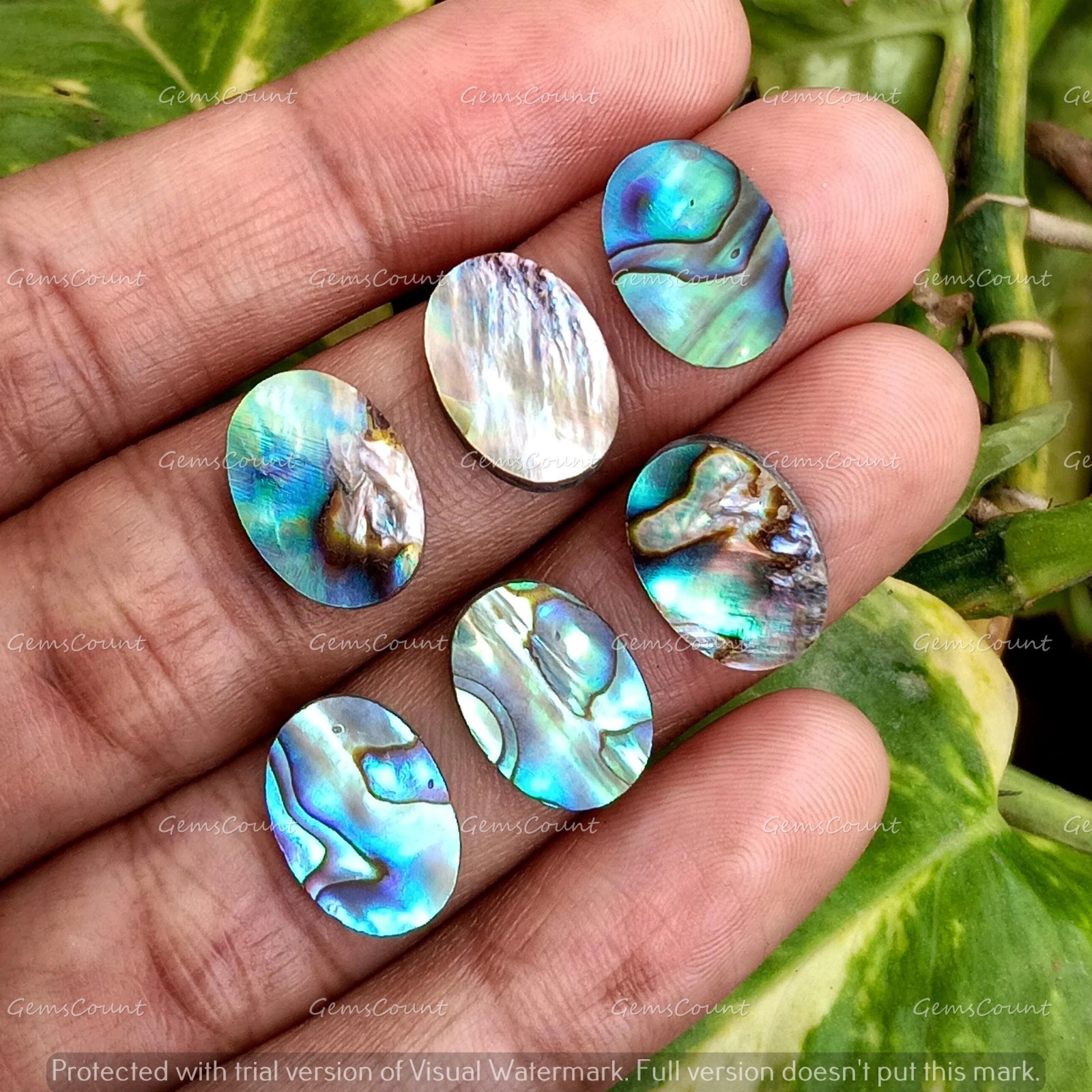 Natural Abalone Shell Flat Back Oval Cabochon Loose Gemstone 5x7mm-15x20mm