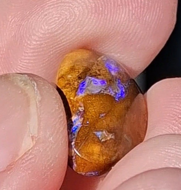 12.5ct Wood replacement Qld boulder opal. Vibrant iridescent blue & purple flash