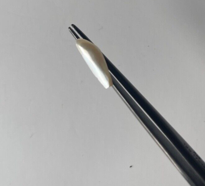 ONE 2.80 CTS RARE VINTAGE WHITE SPIKE NATURAL MISSISSIPPI RIVER UNCULTURED PEARL
