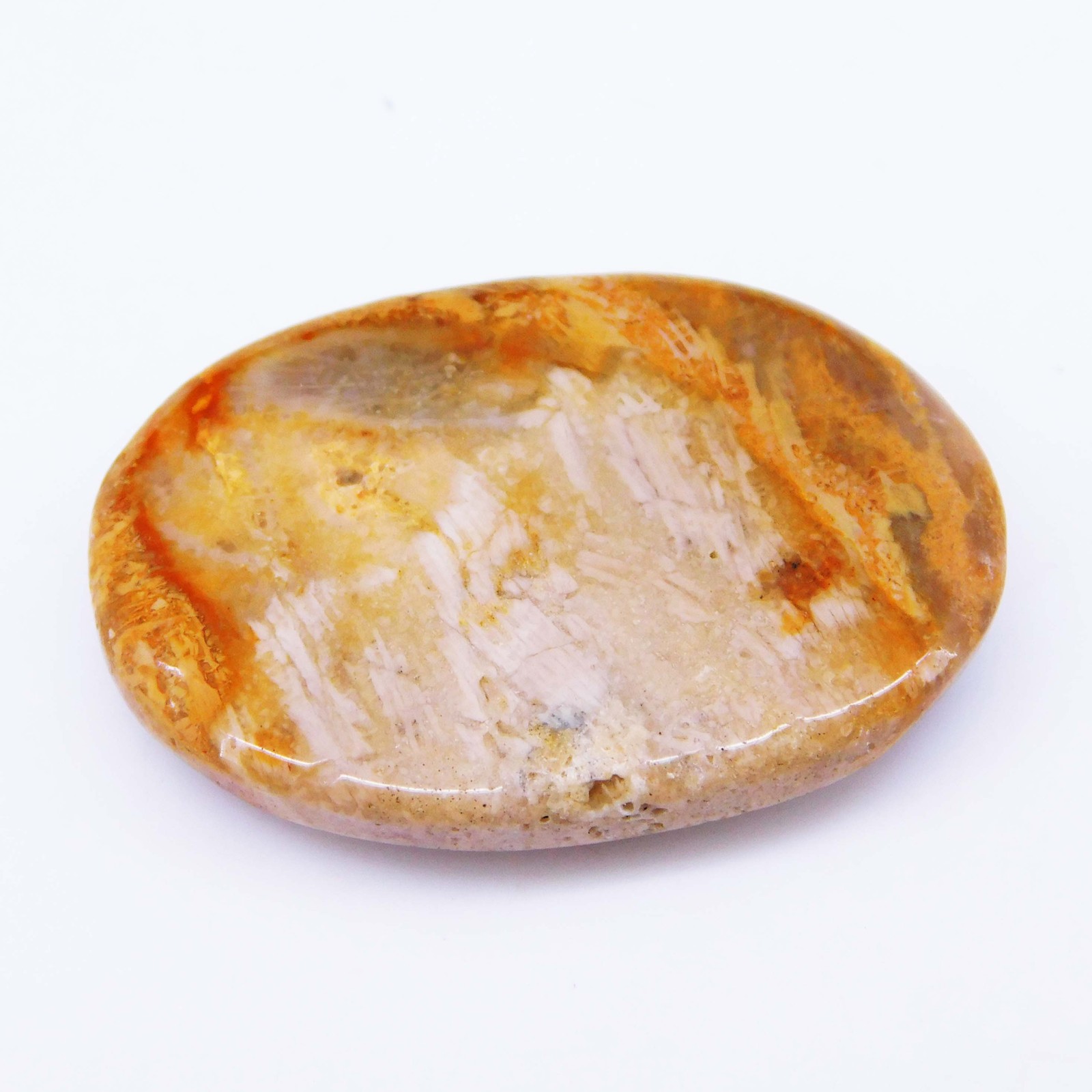 40.55 Ct Natural Fossil Coral Certified Untreated Loose Gemstone