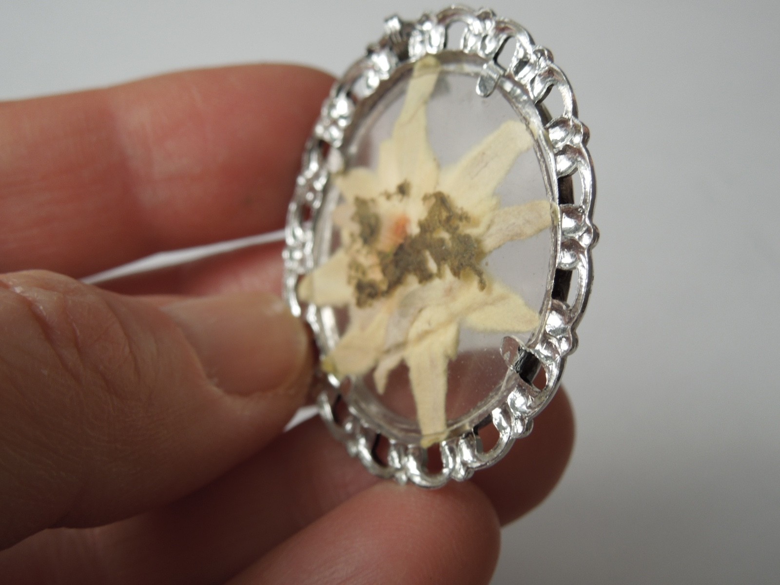 Pendant Edelweiss Dried Plastic silver-colored 0.06oz/1 13/16×1 1/2in