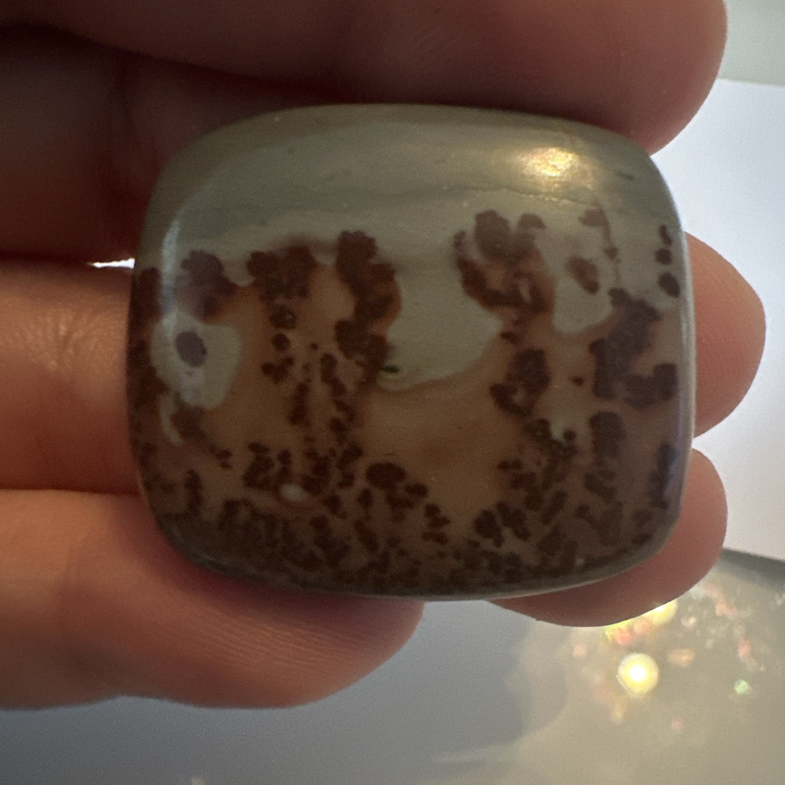 58.85 Cts Natural Designer Flower Jasper Square Cabochon 27x31mm Losse Gemstone