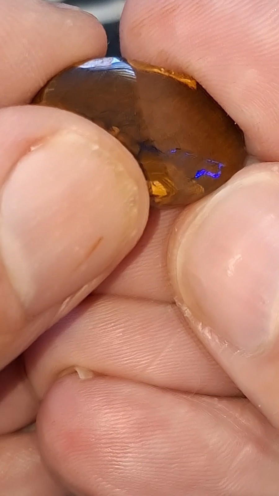17.9ct Queensland Boulder Opal. Vibrant streaks of bright green & electric blue