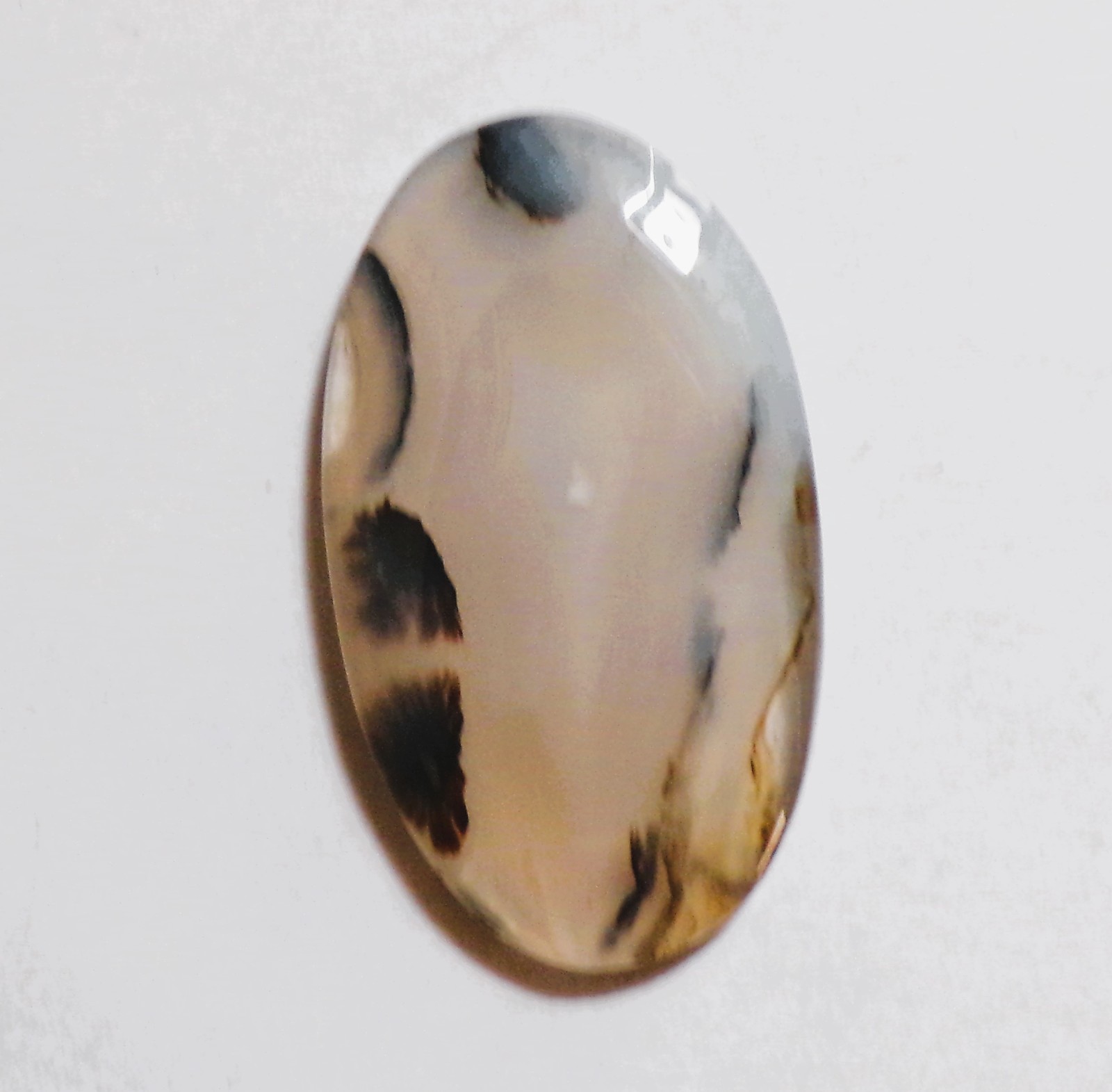 53.70 Cts Natural Montana Agate Cabochon Loose Gemstone 45X26X5MM 45