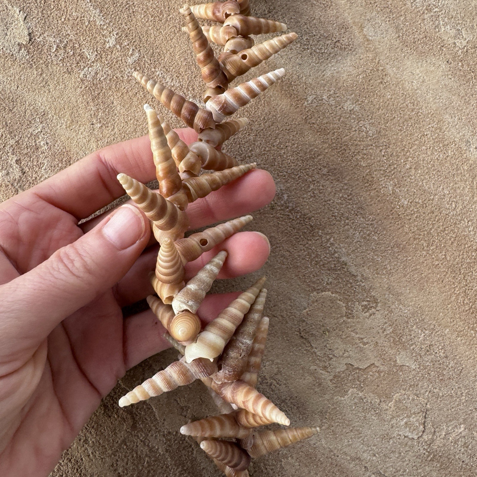 Mermaid Shell Necklace 48” Long Spiral Turritella Strand Boho Mermaid Beach