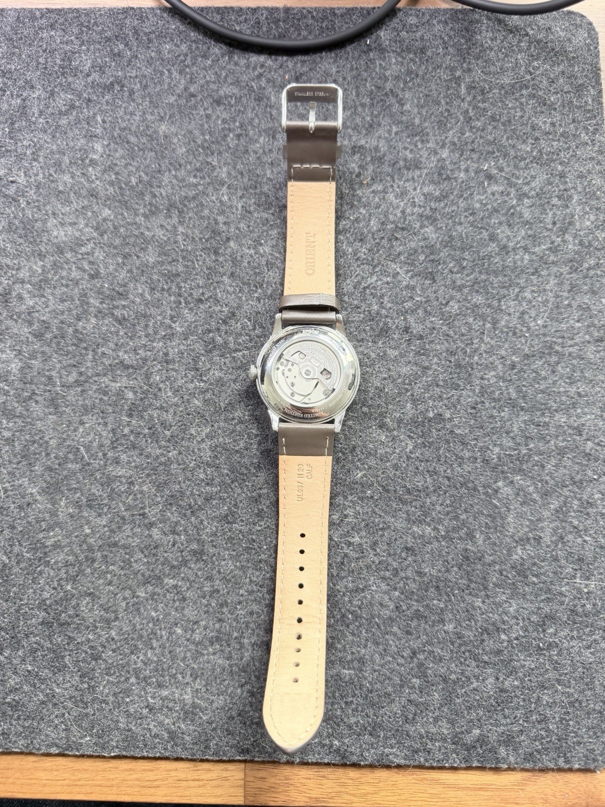 Orient Bambino Version 7