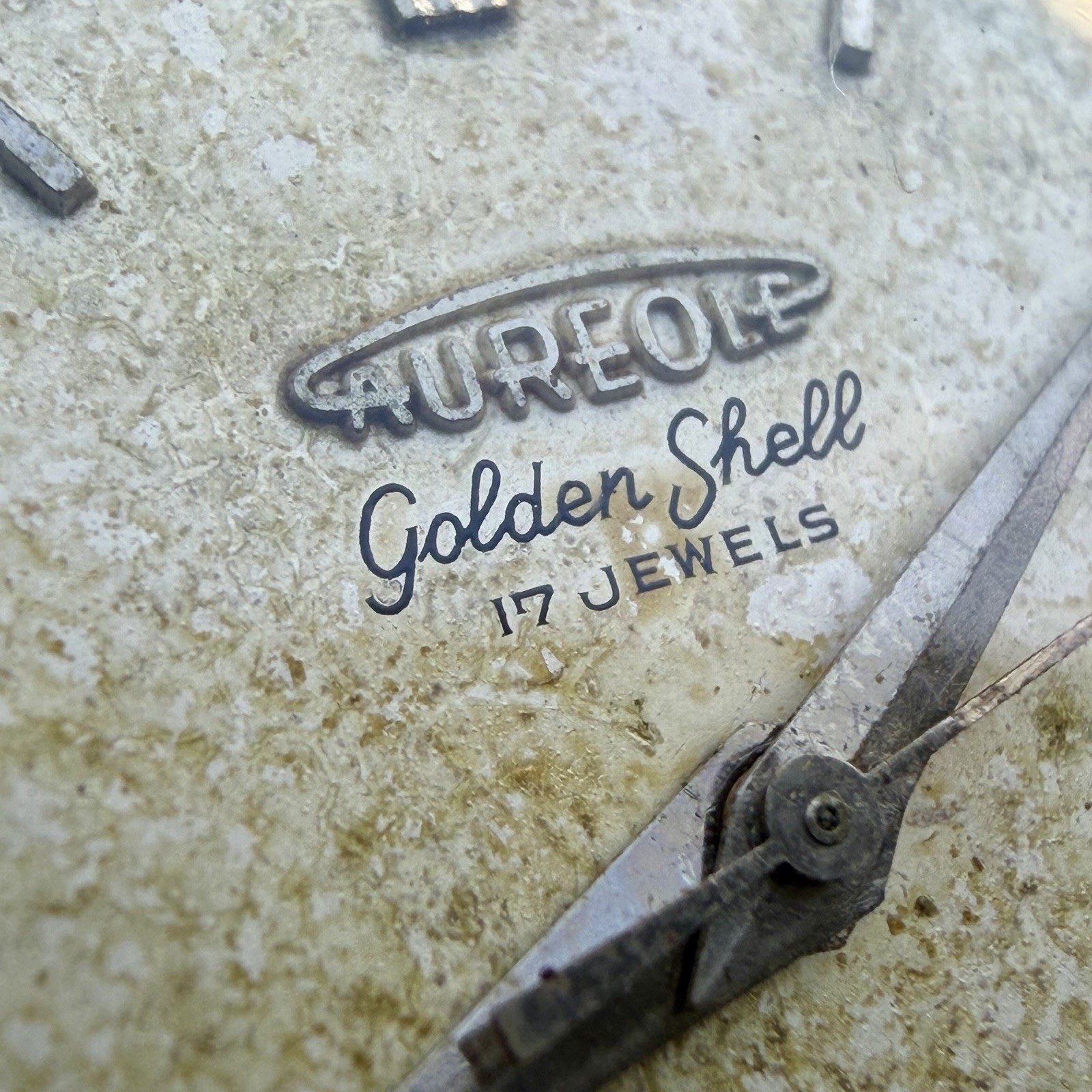 Vintage Aureole Golden Shell Manual Wind Patina Dial Men’s 35mm Watch RUNS!