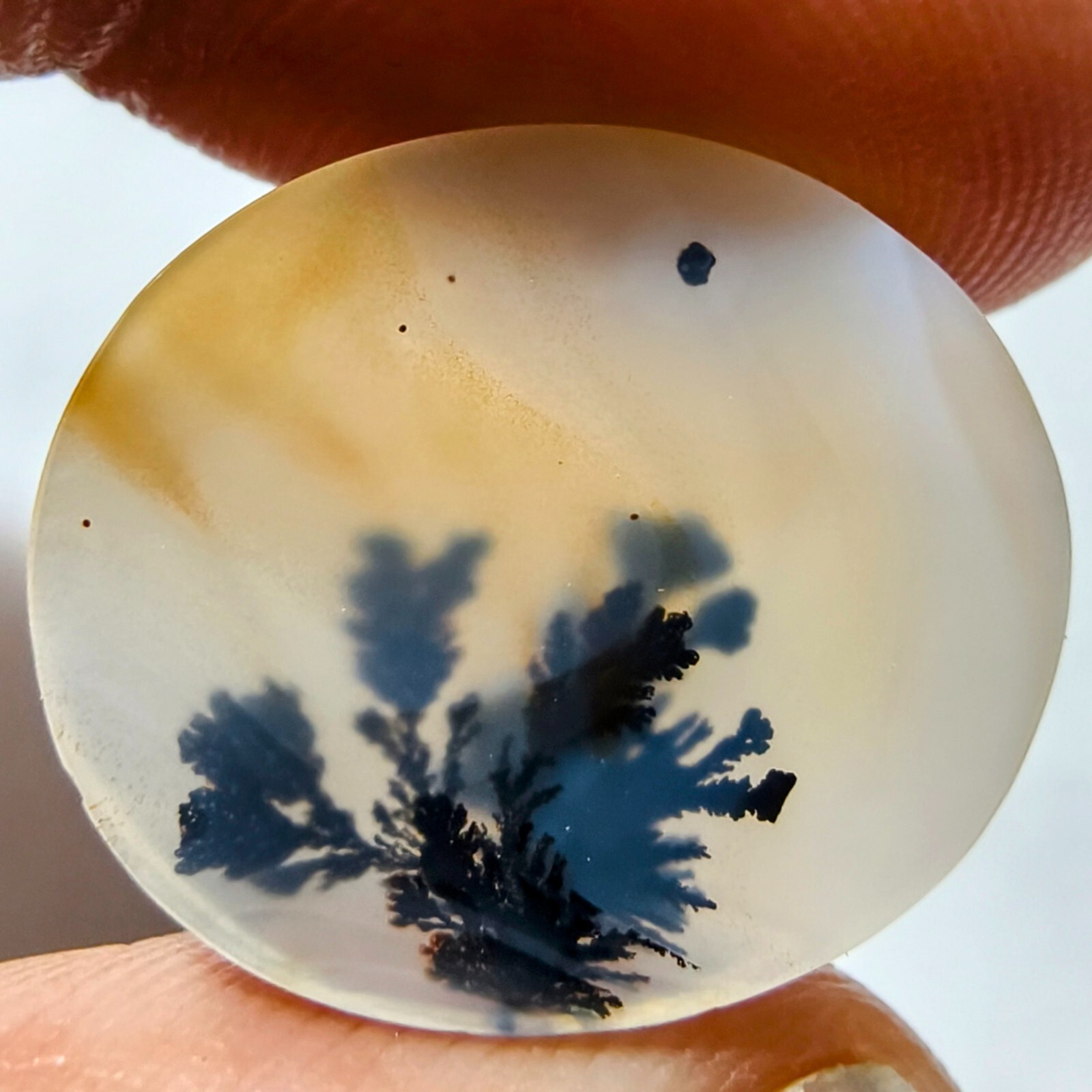 7.60 Cts Natural Shazar Dendritic Agate Cabochon Gemstone 19.6×16.7×2.3 MM 220