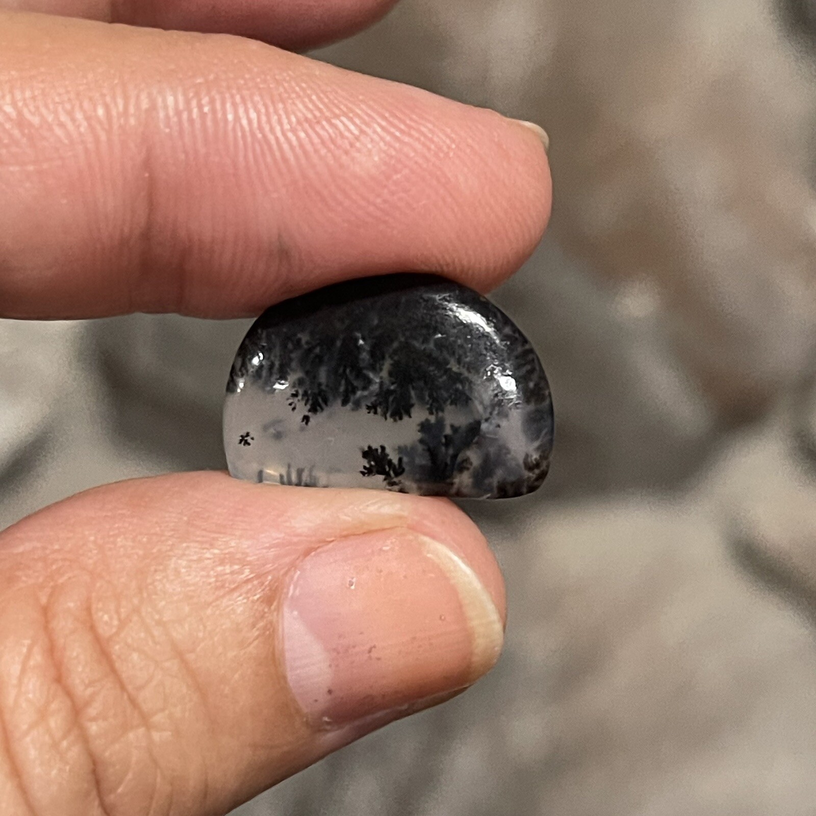 7ct 19.3x13x4mm Fine Dendritic Agate Smooth Cabochon Loose Picture Stone