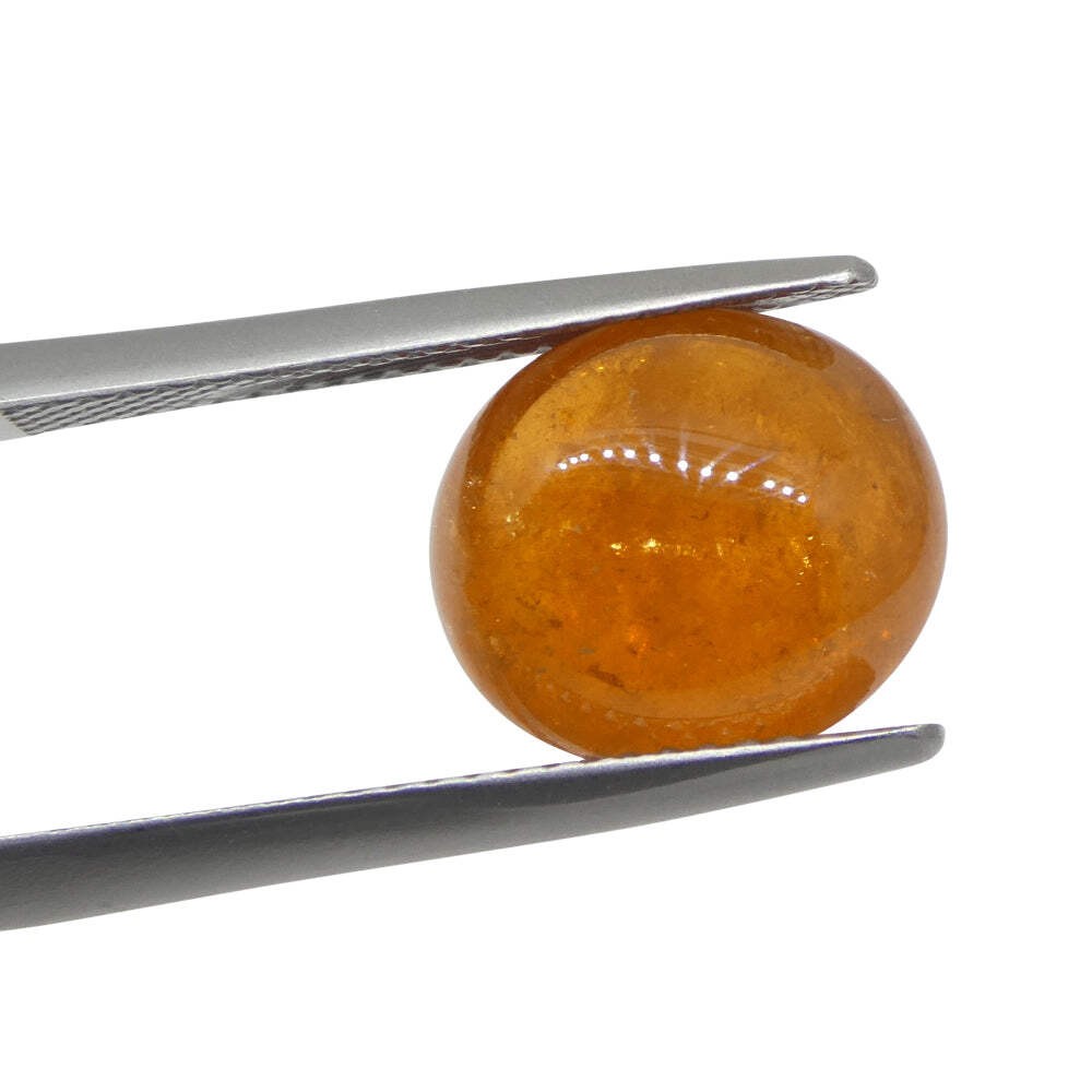 7.69ct Oval Cabochon Orange Mandarin Spessartine Garnet from Nigeria