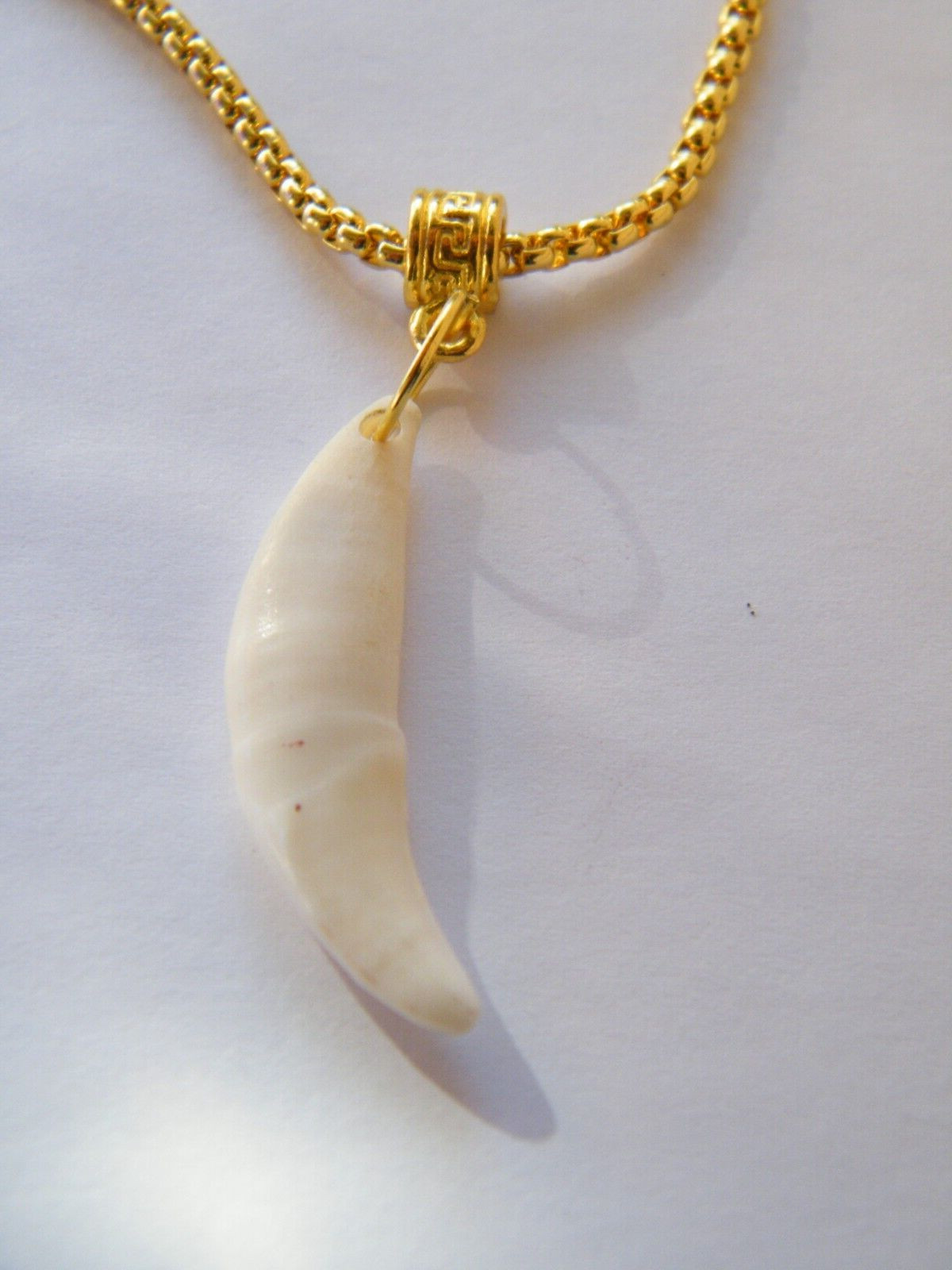 COYOTE Tooth Necklace 1 1/2″ White REAL Teeth 18kt Gold Plate Box 25″ Chain NEW!