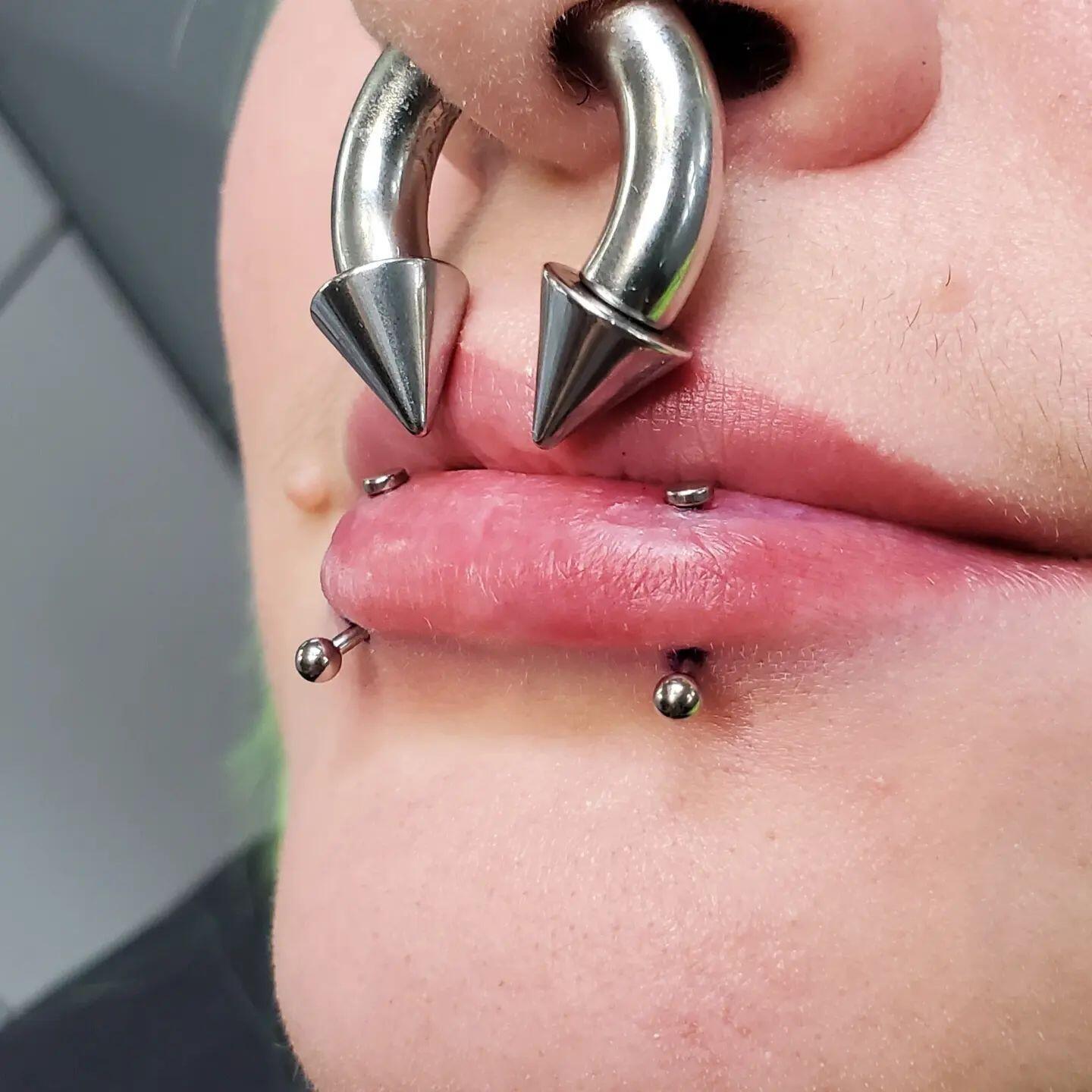 2Pcs Stainless Steel Spike Circular Barbells Large Septum Ring Ear Gauge Earring