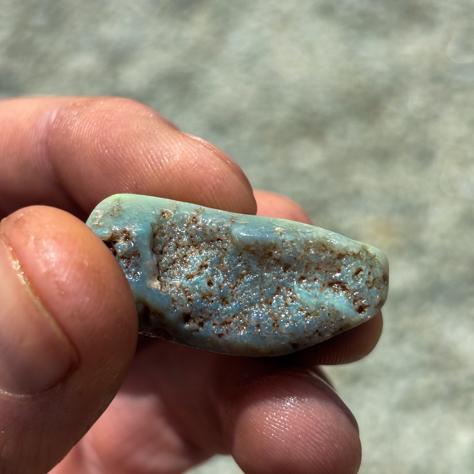 39 carat Lightning Ridge Australian Rough Opal Green Blue – EO-255 Opal UK