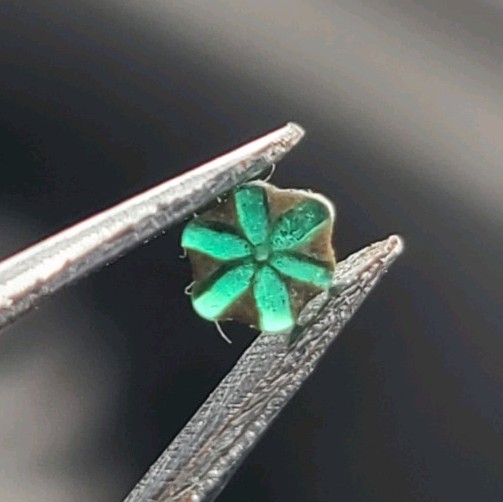EXTREMELY RARE Tripache Emerald From Colombia 0.10 ct 3.65 x 3.10 x 1.28 mm