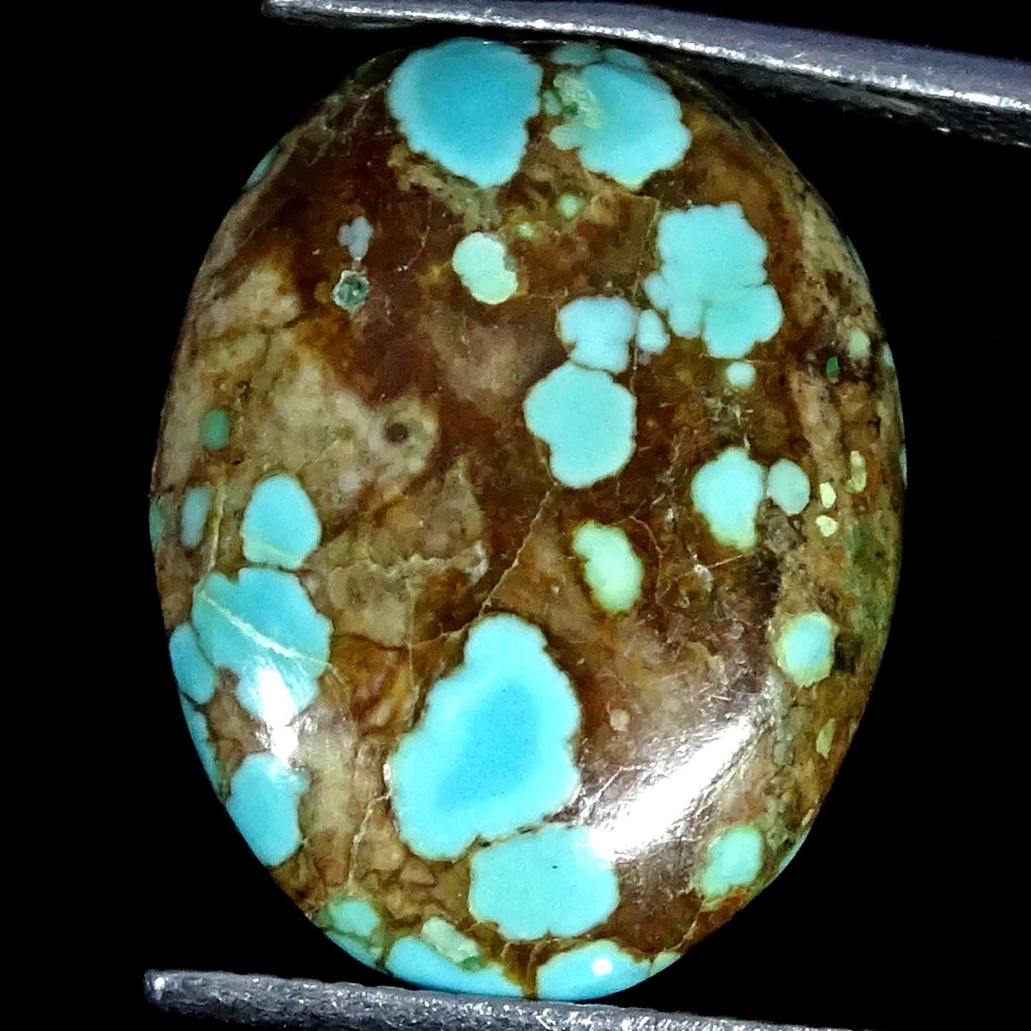 13.30Cts. Natural Amazing Tibet Turquoise Cabochon Gemstone 14X19X6MM